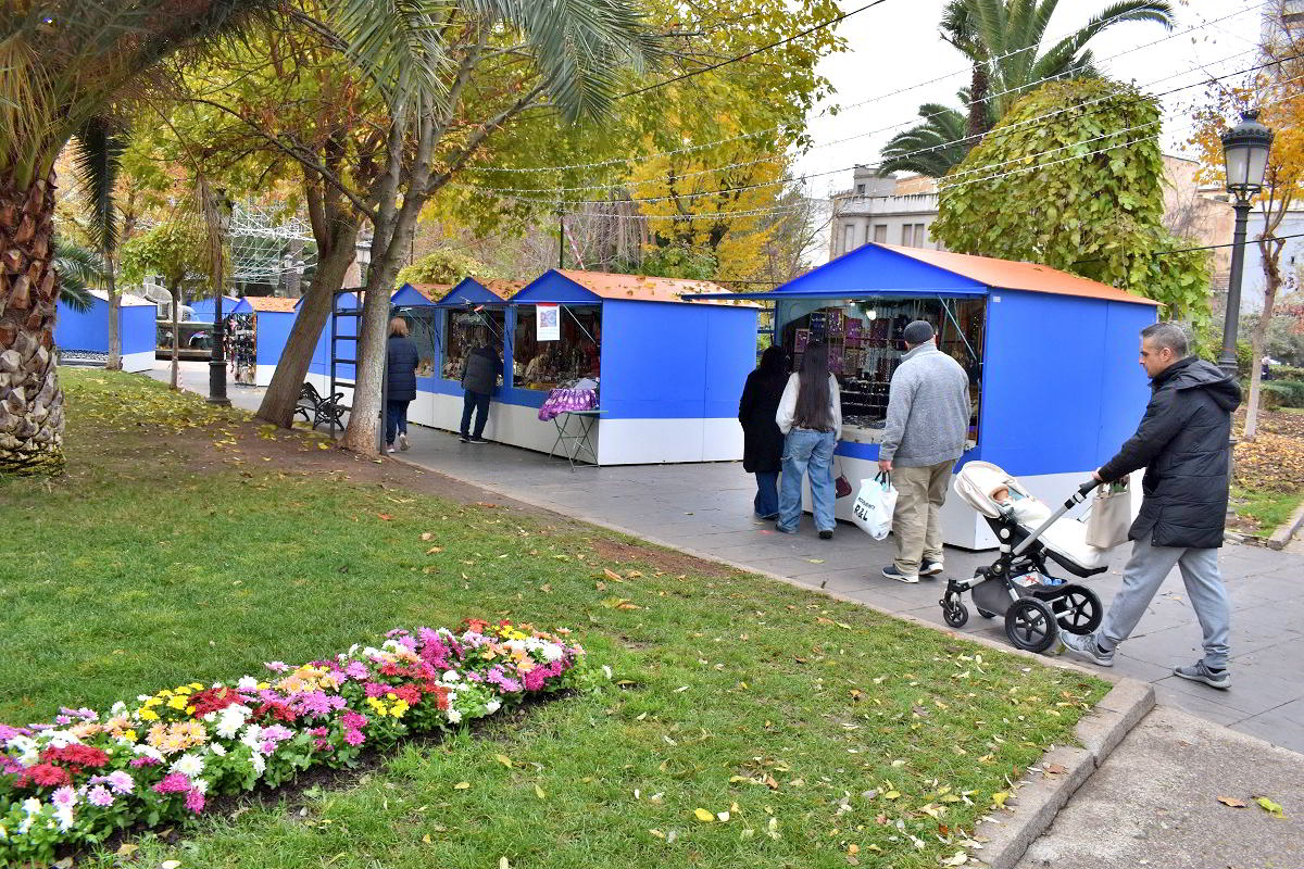 El Paseo de San Gregorio se engalana con cientos de plantas para las festividades navideñas gracias a la iniciativa del Ayuntamiento 2