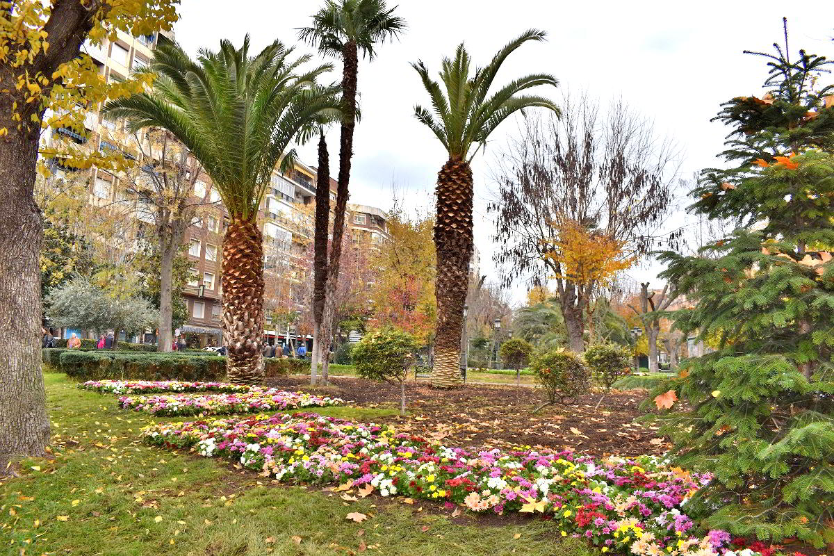 El Paseo de San Gregorio se engalana con cientos de plantas para las festividades navideñas gracias a la iniciativa del Ayuntamiento 3