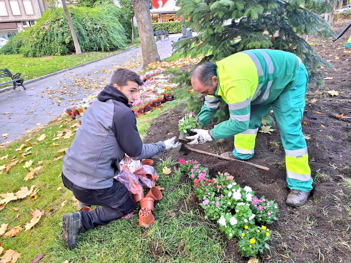El Paseo de San Gregorio se engalana con cientos de plantas para las festividades navideñas gracias a la iniciativa del Ayuntamiento 4