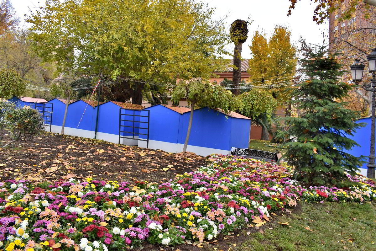 El Paseo de San Gregorio se engalana con cientos de plantas para las festividades navideñas gracias a la iniciativa del Ayuntamiento 6