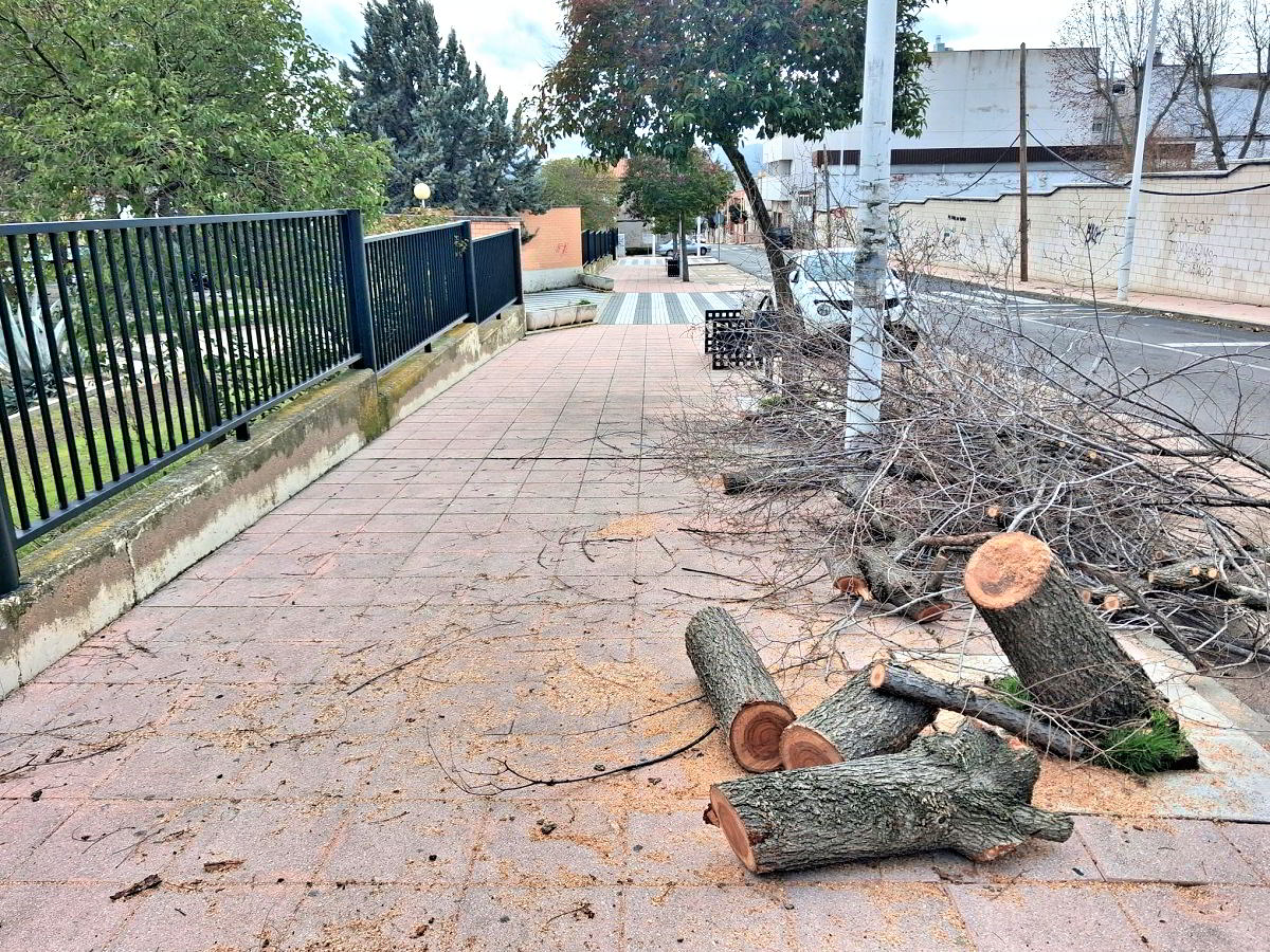 Tramo de la calle Copa clausurado temporalmente debido a desprendimientos y caída de árboles provocados por el deterioro en la cubierta del Centro Cultural 3