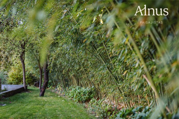 Alnus Paisajistas consolida su trayectoria como estudio de paisajismo sostenible en Madrid