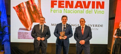 Valverde Destaca Reconocimiento de FENAVIN al Esfuerzo de la Diputación por el Sector Vitivinícola con el Premio Constancia de Ayer y Hoy