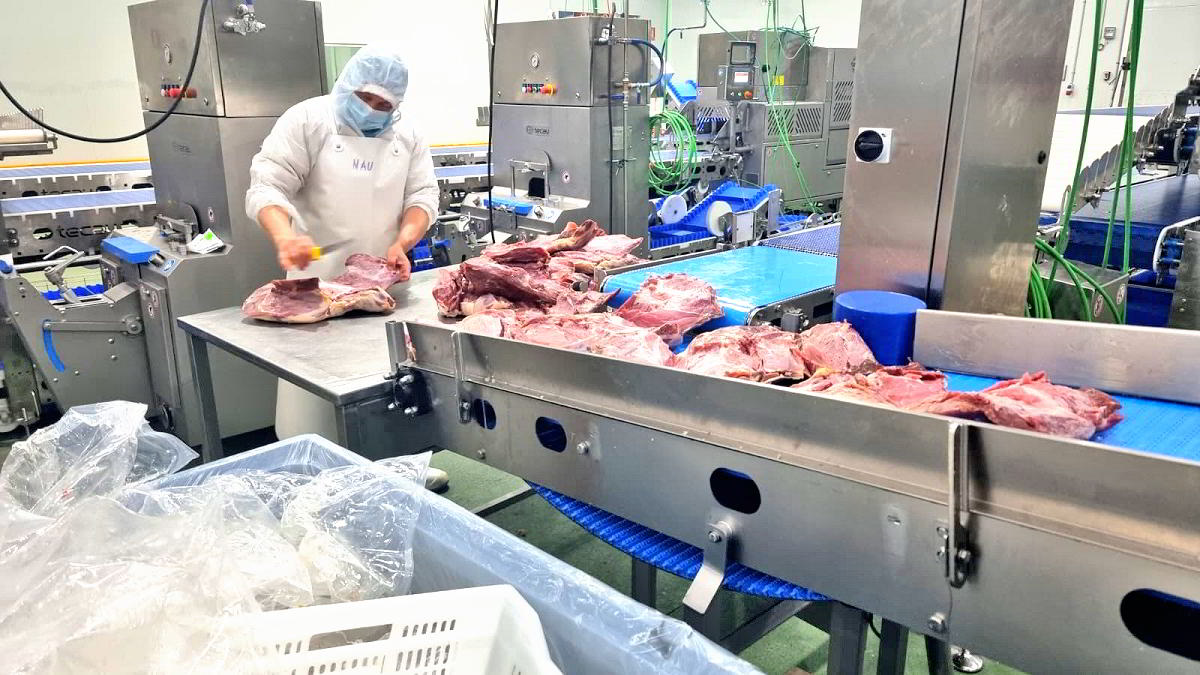Quijano Foods incrementa su fuerza laboral con 50 nuevos empleos tras inversión de 8 millones en la expansión de su planta cárnica en La Nava 1