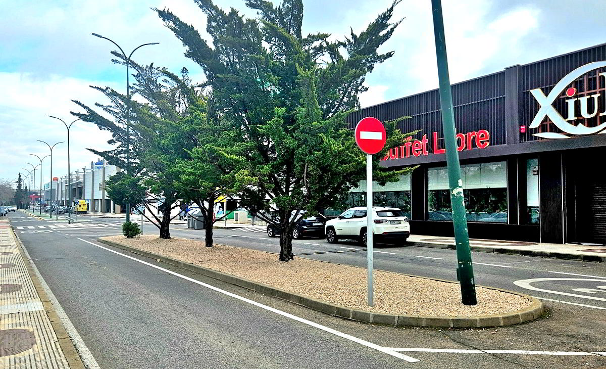 Plan de reforestación en Puertollano: Más de 500 árboles y plantas serán plantados esta primavera 1