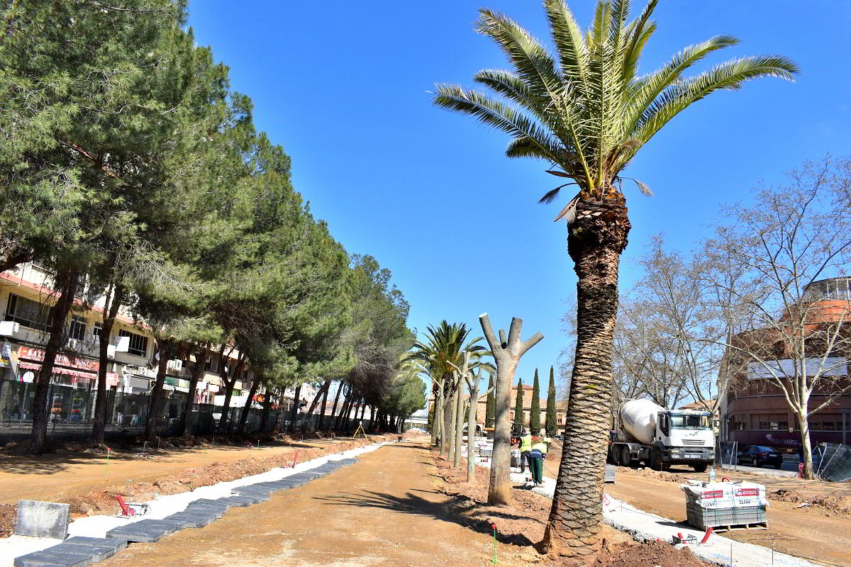 Inicia la Renovación Verde con la Plantación de 410 Árboles en el Paseo del Bosque 1 Nuevo arbolado