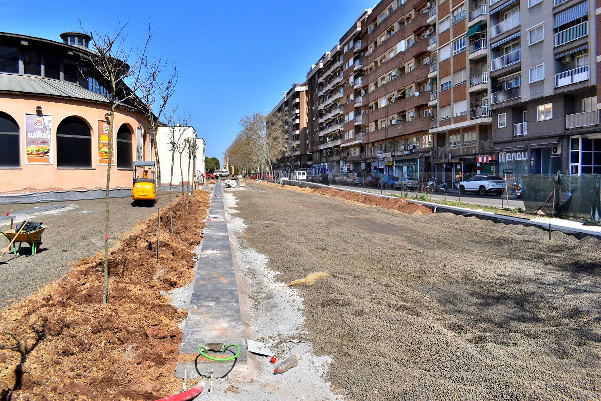 Inicia la Renovación Verde con la Plantación de 410 Árboles en el Paseo del Bosque 4 Plantación de árboles Paseo del Bosque