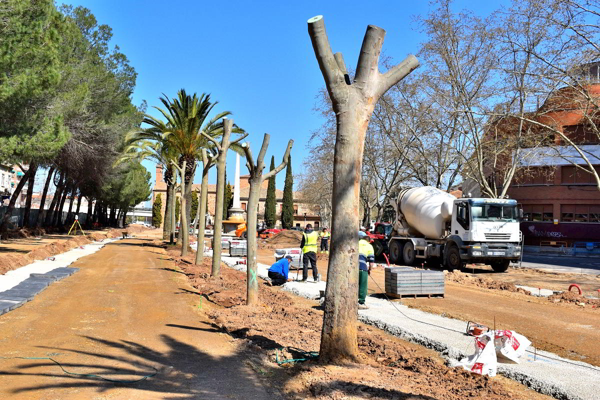 Inicia la Renovación Verde con la Plantación de 410 Árboles en el Paseo del Bosque 3 Árboles en Paseo del Bosque