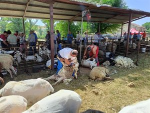 Este martes se abre el plazo de solicitud de las ayudas de la Diputación de Guadalajara para ferias tradicionales