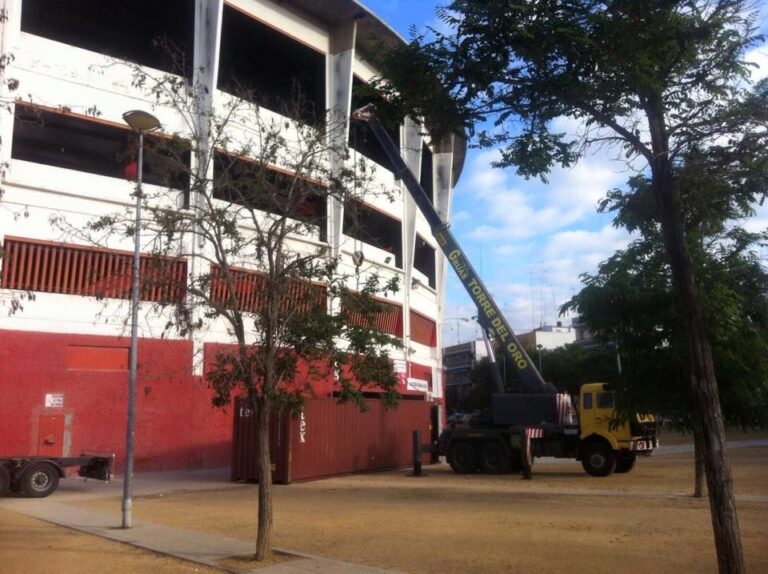 Grúas Torre del Oro: Líder en Elevación con Soluciones Especializadas para Grandes Montajes