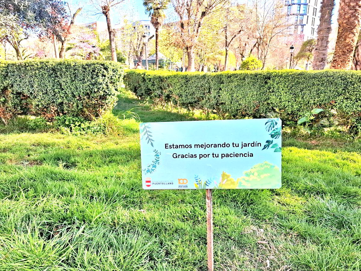 El Paseo de San Gregorio se Renueva: Nuevas Palmeras y Césped que Revitalizan el Espacio 1 El Paseo de San Gregorio se Renueva: Nuevas Palmeras y Césped que Revitalizan el Espacio 1