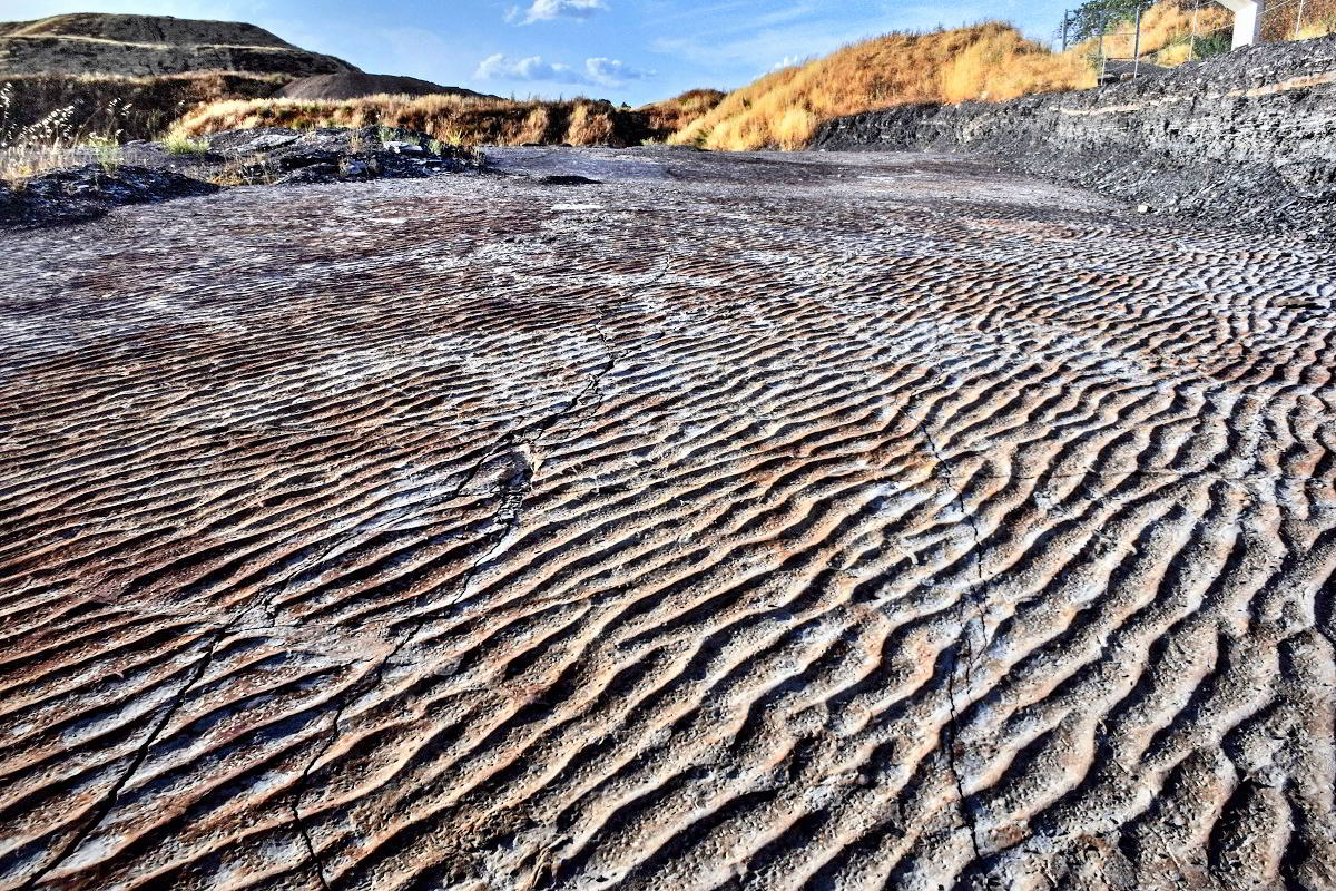 Puertollano a Través del Lente: Pilar García Manzanares Captura la Huella del Carbonífero 2