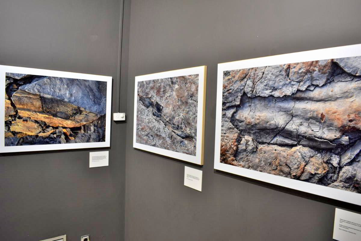 Puertollano a Través del Lente: Pilar García Manzanares Captura la Huella del Carbonífero 11