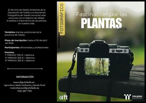 Abierto el concurso de fotografía provincial de Toledo 'Fascinación por las plantas' con hasta 700 euros de premio