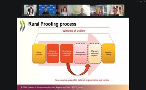 C-LM presenta ante la OCDE el proceso participativo de su Estrategia regional frente a la Despoblación