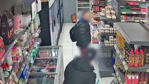 Desarticulado un grupo criminal que robaba productos farmacéuticos en la zona de La Sagra y Madrid