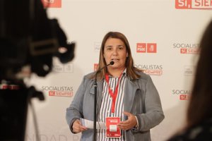 PSOE presentará enmiendas a los presupuestos de Talavera para aumentar la inversión en mantenimiento de colegios