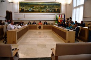 Diputación Toledo aprueba dos modificaciones presupuestarias de 6,7 millones para escuela de enfermería y plan de empleo