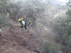 VÍDEO: C-LM moviliza 23 millones para prevenir incendios forestales en 15.000 hectáreas y anticiparse al verano