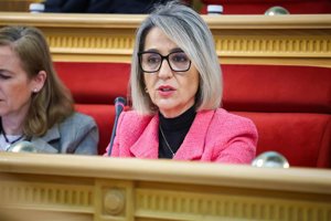 Vox reitera su rechazo al establecimiento de una ZBE en Toledo: "No hay contaminación"