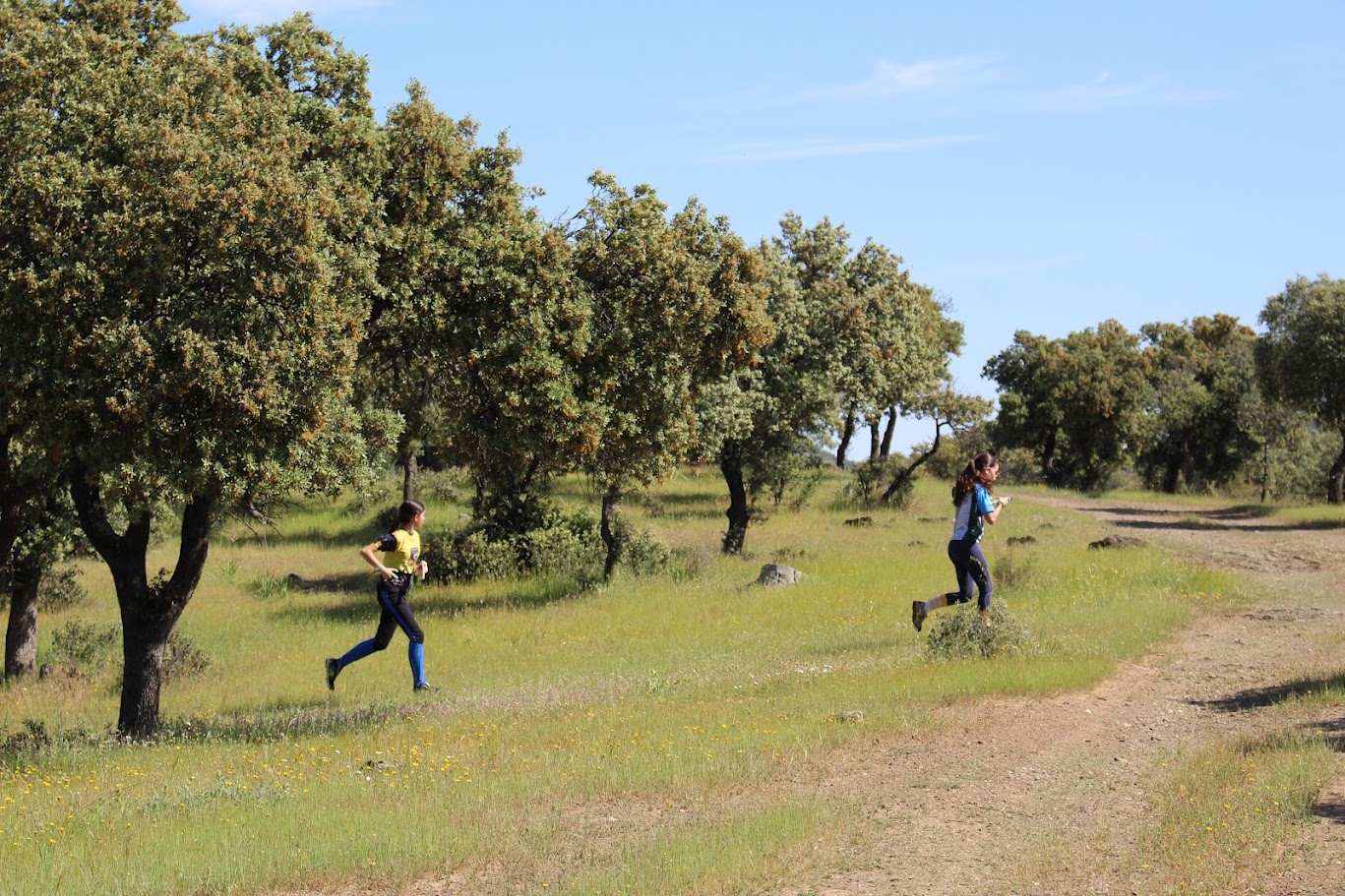 Viso del Marqués acoge el Campeonato de Castilla-La Mancha de Orientación 2026 con éxito de participación 1
