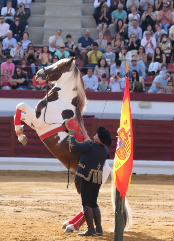 Más de 3,000 personas asisten al impresionante espectáculo ecuestre 'El Arte de Andalucía a Caballo' en Puertollano 3