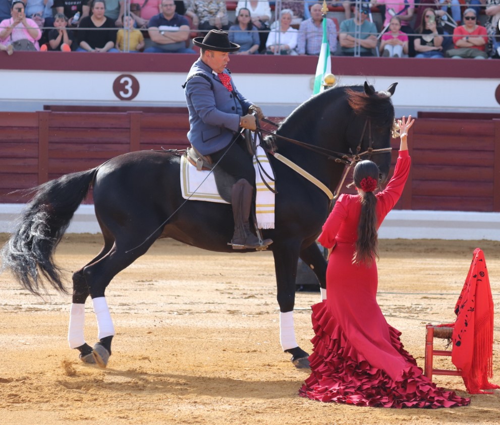 Más de 3,000 personas asisten al impresionante espectáculo ecuestre 'El Arte de Andalucía a Caballo' en Puertollano 1