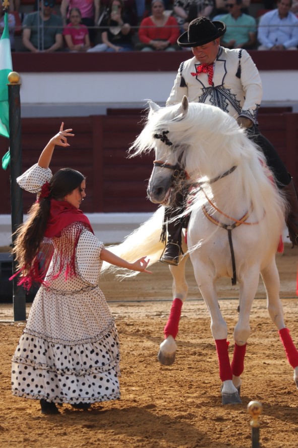 Más de 3,000 personas asisten al impresionante espectáculo ecuestre 'El Arte de Andalucía a Caballo' en Puertollano 5