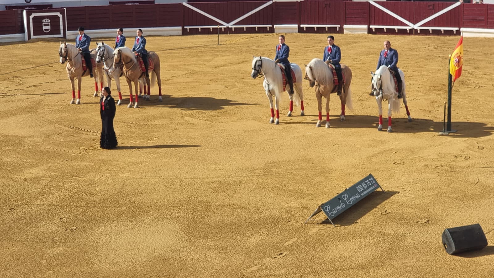Más de 3,000 personas asisten al impresionante espectáculo ecuestre 'El Arte de Andalucía a Caballo' en Puertollano 7