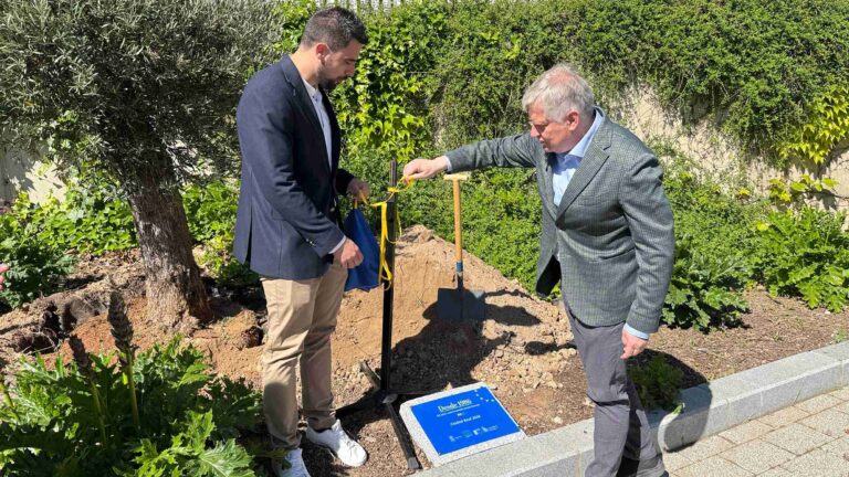 Plantación de un olivo en el Espacio Joven de Ciudad Real durante el acto del 40 aniversario de la adhesión de España a la Unión Europea