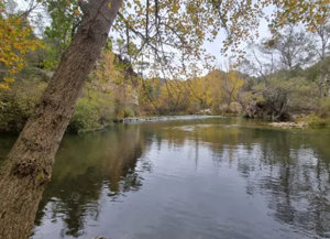 A partir de este martes se podrán presentar solicitudes al Premio Regional de Medio Ambiente de Castilla-La Mancha