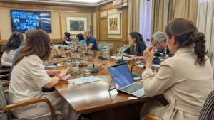 CISNS aprueba criterios para distribuir 39 millones para acciones del Plan de Salud Mental y casi 18 en suicidio