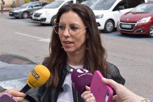 PSOE acusa a Guarinos de provocar "el caos" con la implantación de 1.200 plazas más de zona azul en Guadalajara