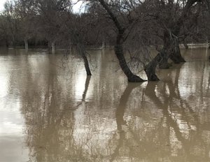 La CHE alerta de posibles crecidas súbitas en cauces menores y barrancos, ante los avisos de lluvias intensas