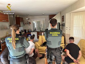 Guardia Civil decomisa 1.194 plantas de marihuana de una casa de Uceda (Guadalajara) y detiene a dos varones