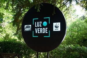 Las toledanas Red Alimenta y Red de Vencejos, galardonadas con los Premios Luz Verde de WWF y Onda Cero