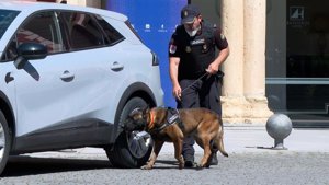 Unos 180 agentes de la Policía garantizarán por tierra, aire y subsuelo la Conferencia Europea de Interpol en Toledo
