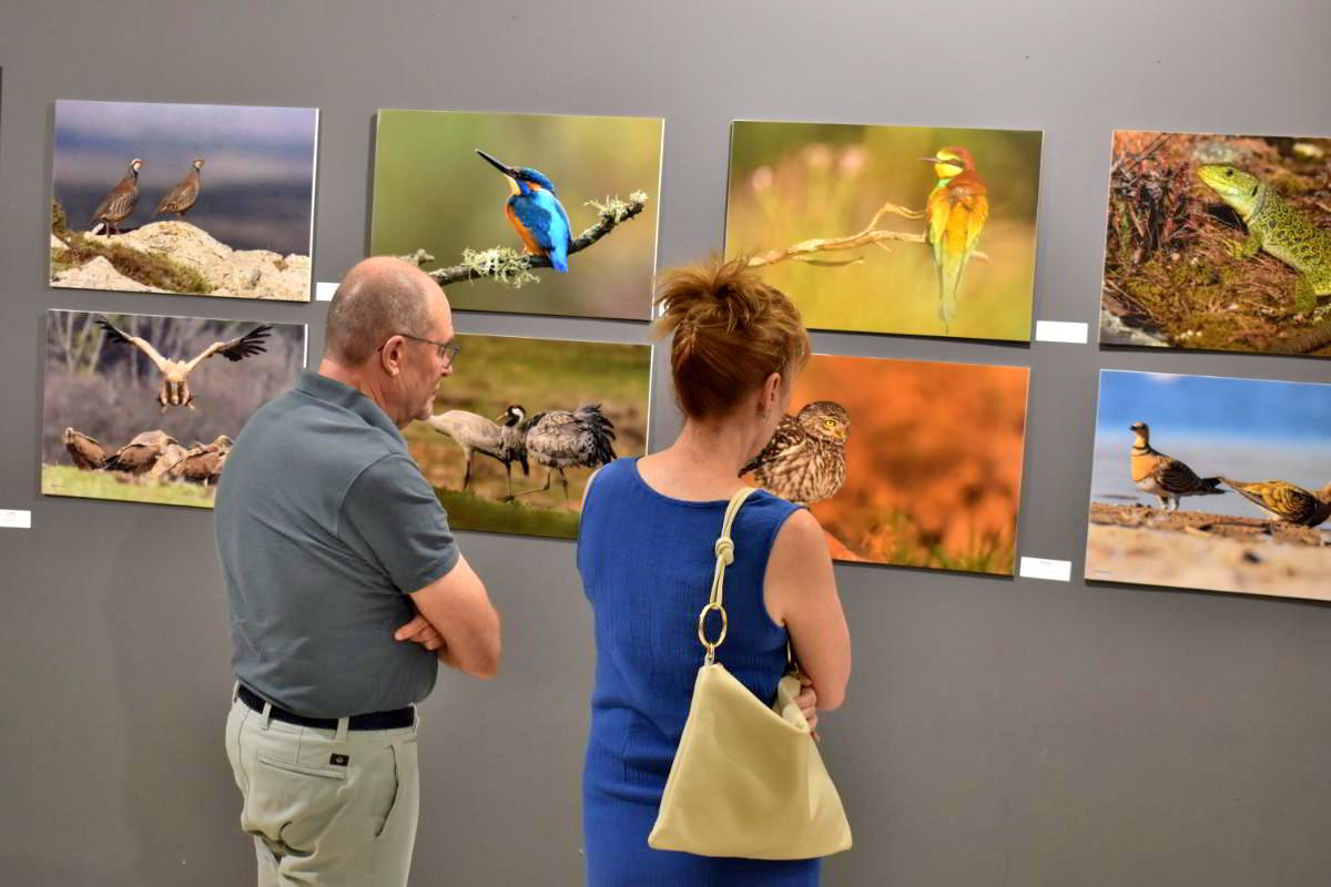Conexiones Naturales: La Exposición Fotográfica 'Cuatro Objetivos, Una Tierra' 1 Conexiones Naturales: La Exposición Fotográfica 'Cuatro Objetivos, Una Tierra' 1