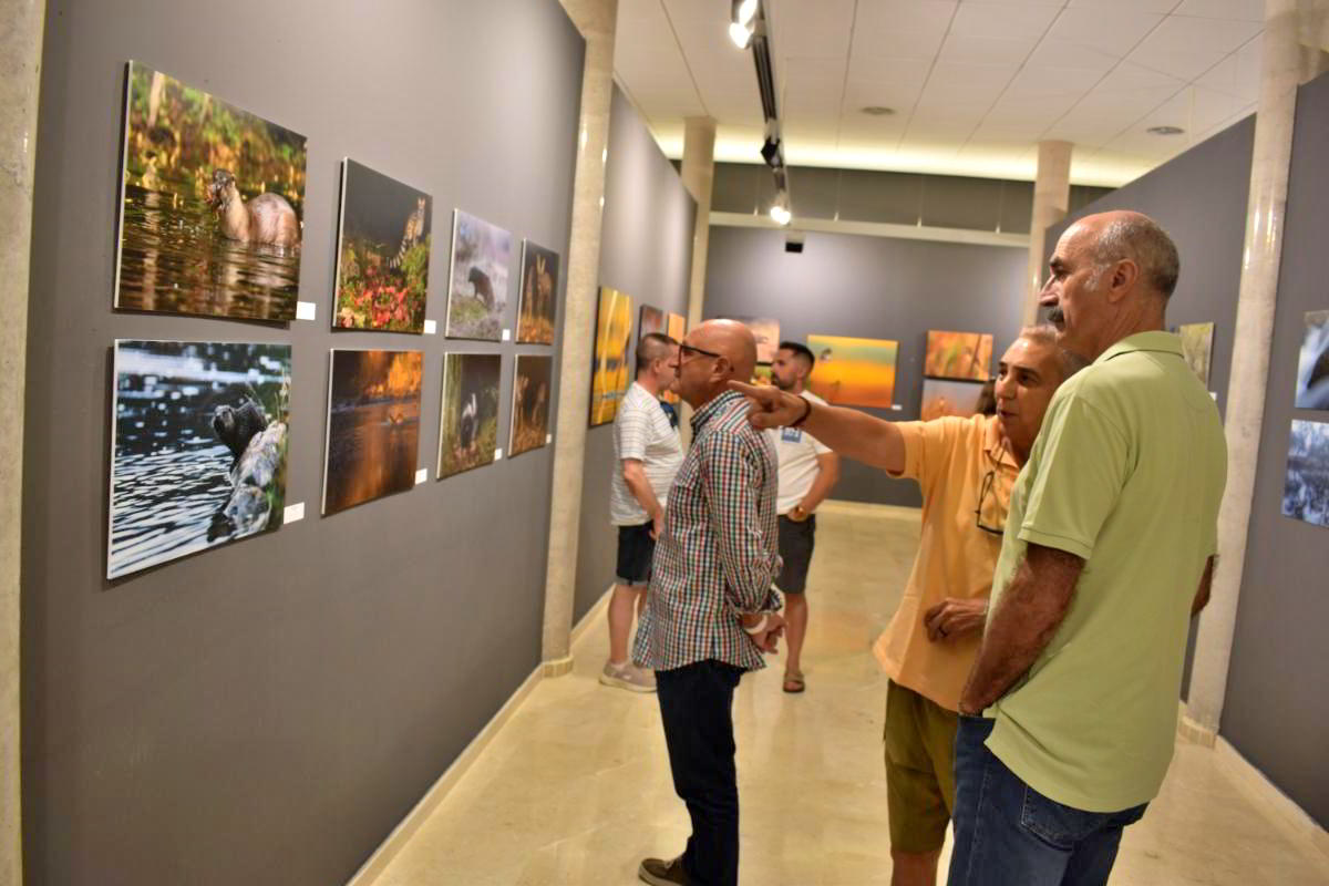 Conexiones Naturales: La Exposición Fotográfica 'Cuatro Objetivos, Una Tierra' 5 Conexiones Naturales: La Exposición Fotográfica 'Cuatro Objetivos, Una Tierra' 5