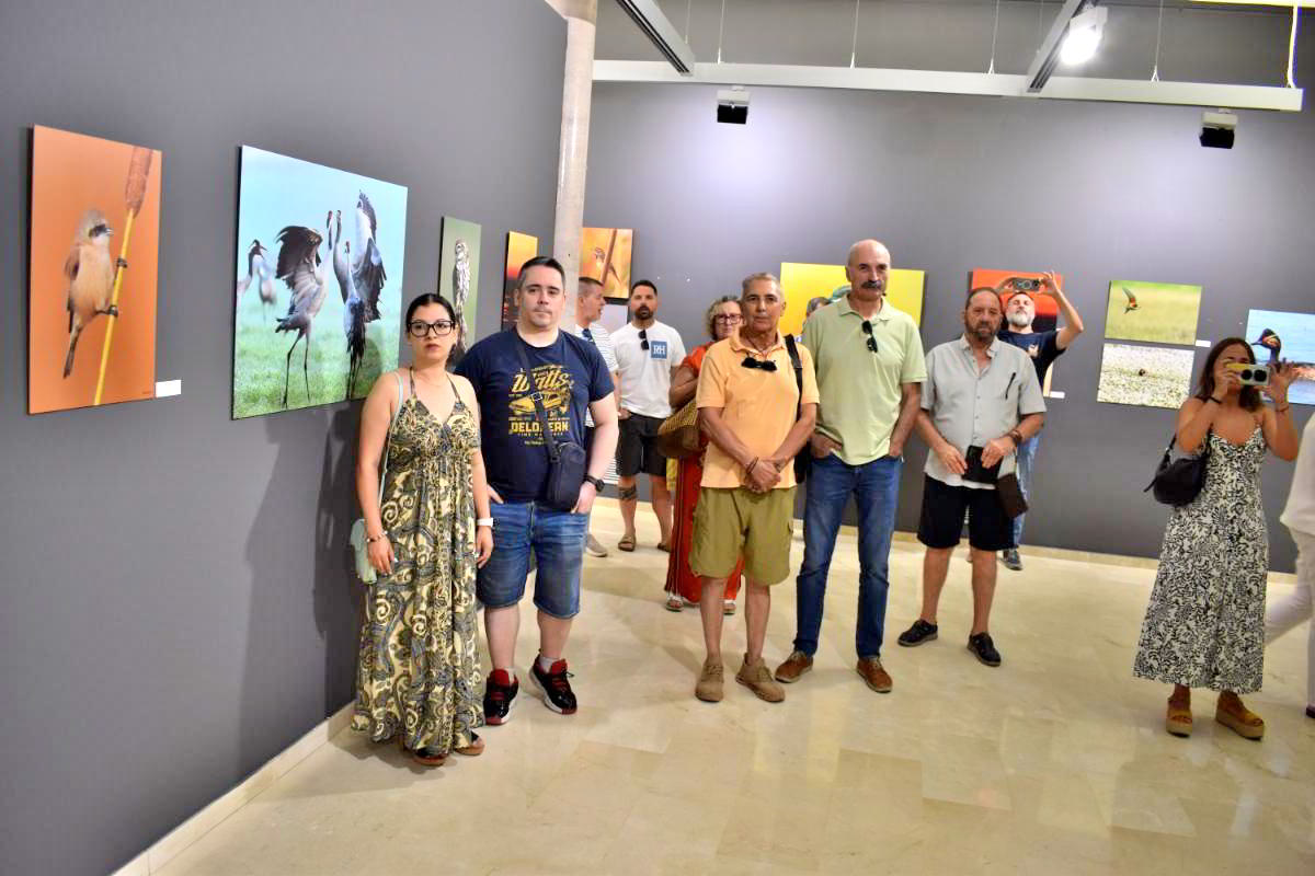 Conexiones Naturales: La Exposición Fotográfica 'Cuatro Objetivos, Una Tierra' 8 Conexiones Naturales: La Exposición Fotográfica 'Cuatro Objetivos, Una Tierra' 8