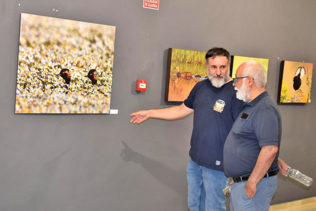 Conexiones Naturales: La Exposición Fotográfica 'Cuatro Objetivos, Una Tierra' 7 Conexiones Naturales: La Exposición Fotográfica 'Cuatro Objetivos, Una Tierra' 7