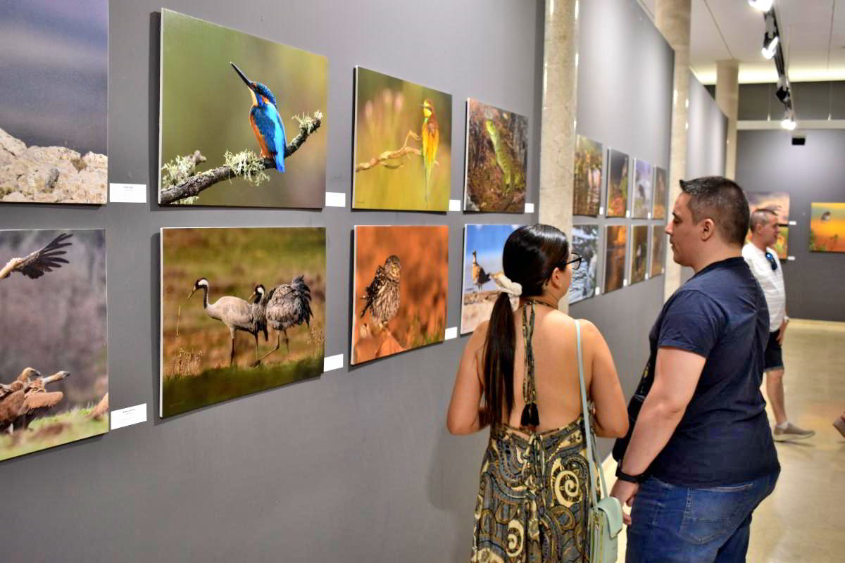 Conexiones Naturales: La Exposición Fotográfica 'Cuatro Objetivos, Una Tierra' 6 Conexiones Naturales: La Exposición Fotográfica 'Cuatro Objetivos, Una Tierra' 6