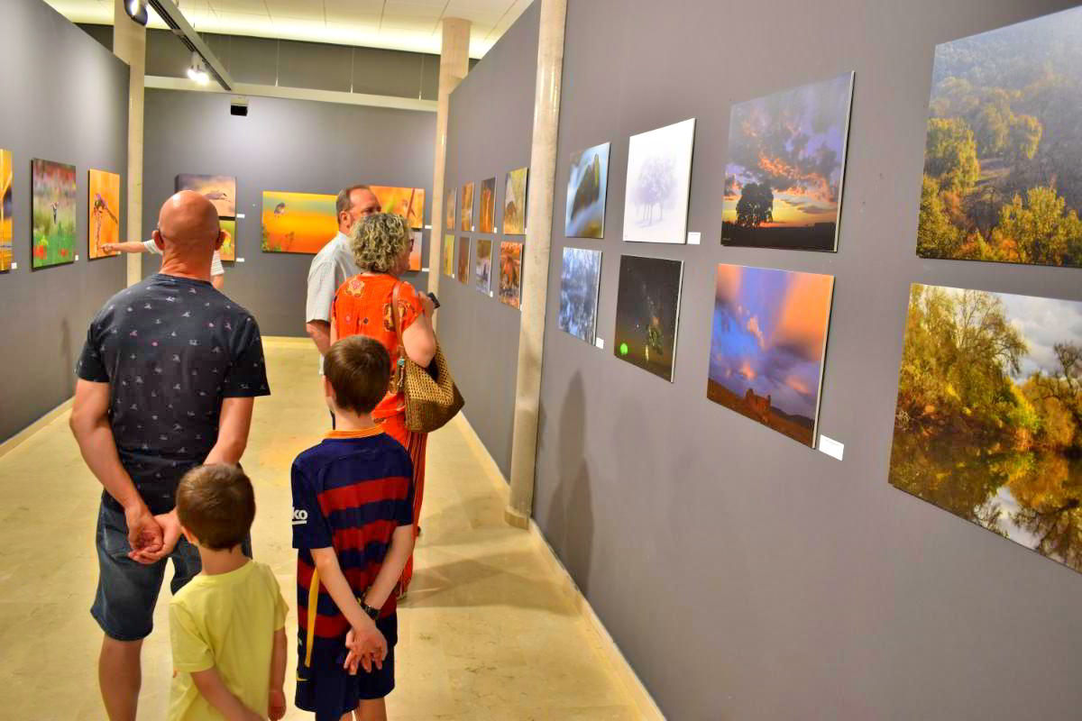 Conexiones Naturales: La Exposición Fotográfica 'Cuatro Objetivos, Una Tierra' 10 Conexiones Naturales: La Exposición Fotográfica 'Cuatro Objetivos, Una Tierra' 10