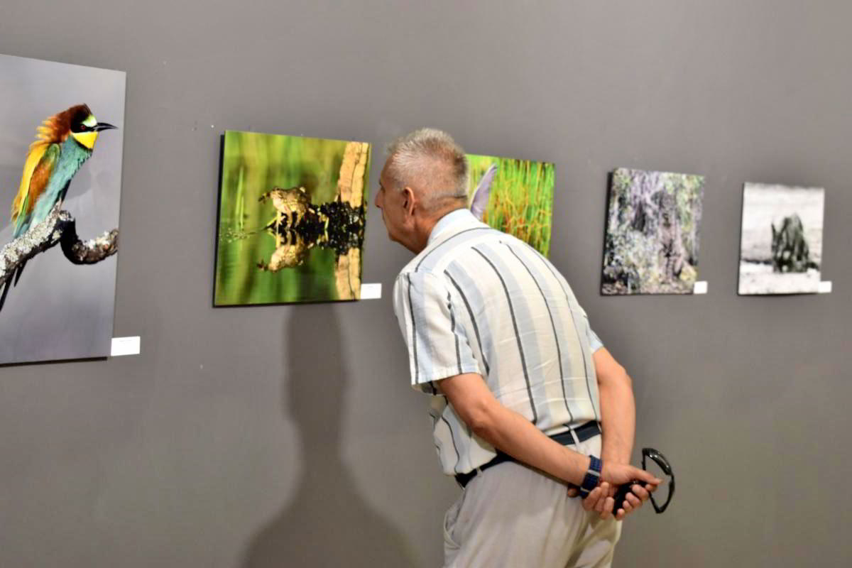 Conexiones Naturales: La Exposición Fotográfica 'Cuatro Objetivos, Una Tierra' 13 Conexiones Naturales: La Exposición Fotográfica 'Cuatro Objetivos, Una Tierra' 13