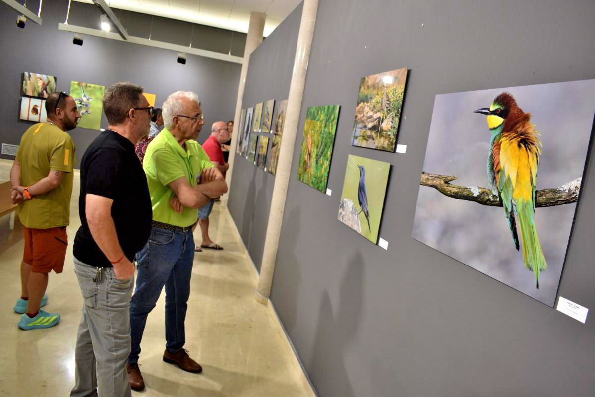 Conexiones Naturales: La Exposición Fotográfica 'Cuatro Objetivos, Una Tierra' 16 Conexiones Naturales: La Exposición Fotográfica 'Cuatro Objetivos, Una Tierra' 16