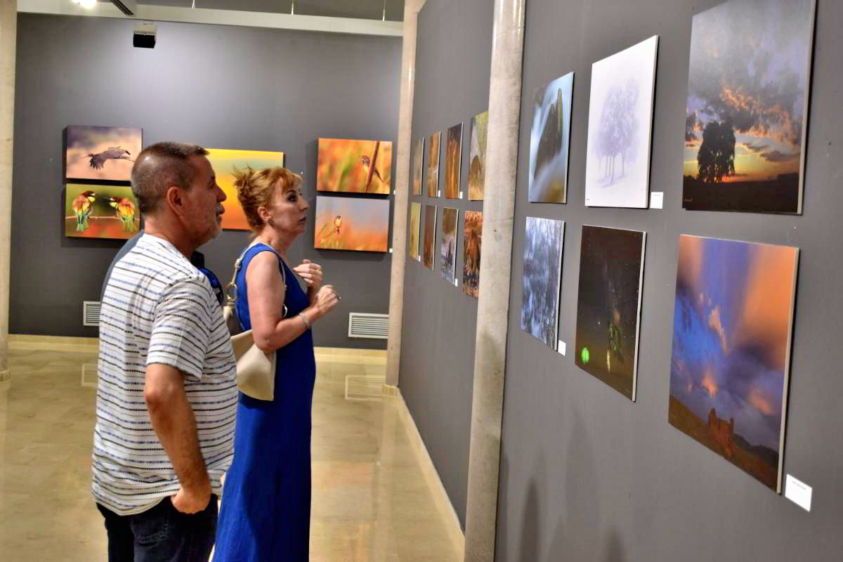 Conexiones Naturales: La Exposición Fotográfica 'Cuatro Objetivos, Una Tierra' 19 Conexiones Naturales: La Exposición Fotográfica 'Cuatro Objetivos, Una Tierra' 19