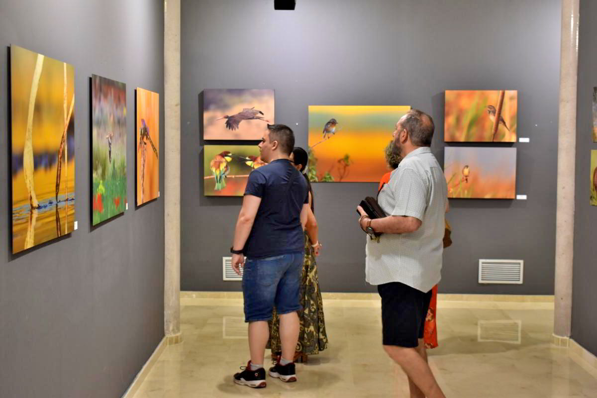 Conexiones Naturales: La Exposición Fotográfica 'Cuatro Objetivos, Una Tierra' 21 Conexiones Naturales: La Exposición Fotográfica 'Cuatro Objetivos, Una Tierra' 21