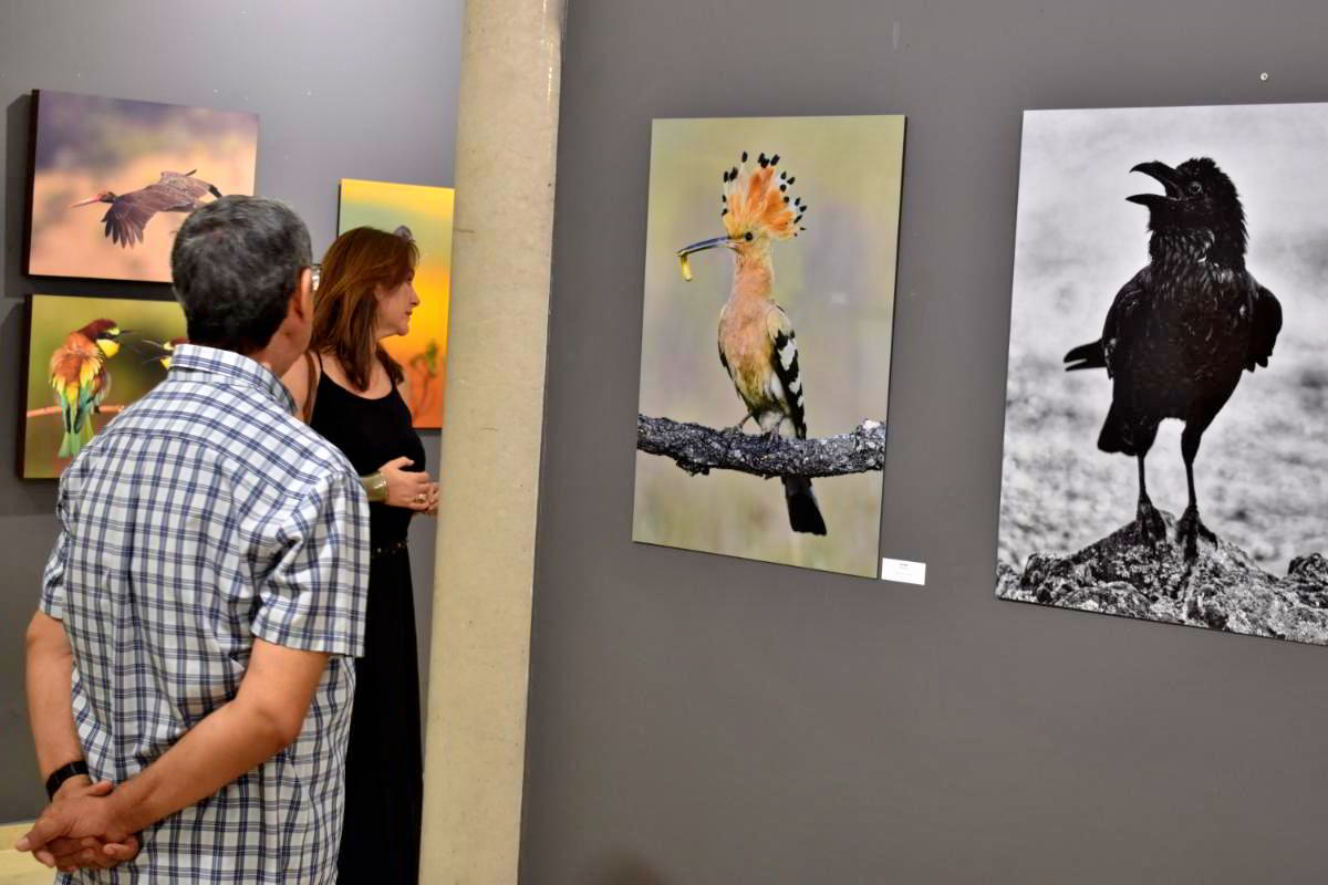 Conexiones Naturales: La Exposición Fotográfica 'Cuatro Objetivos, Una Tierra' 18 Conexiones Naturales: La Exposición Fotográfica 'Cuatro Objetivos, Una Tierra' 18