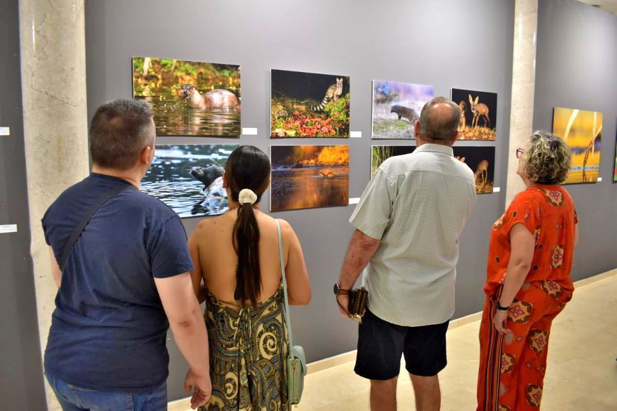 Conexiones Naturales: La Exposición Fotográfica 'Cuatro Objetivos, Una Tierra' 20 Conexiones Naturales: La Exposición Fotográfica 'Cuatro Objetivos, Una Tierra' 20