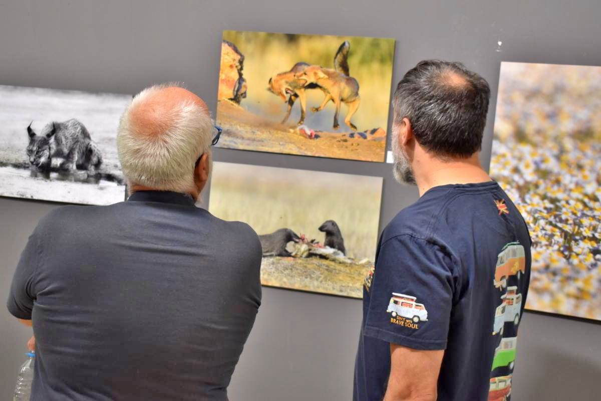 Conexiones Naturales: La Exposición Fotográfica 'Cuatro Objetivos, Una Tierra' 17 Conexiones Naturales: La Exposición Fotográfica 'Cuatro Objetivos, Una Tierra' 17